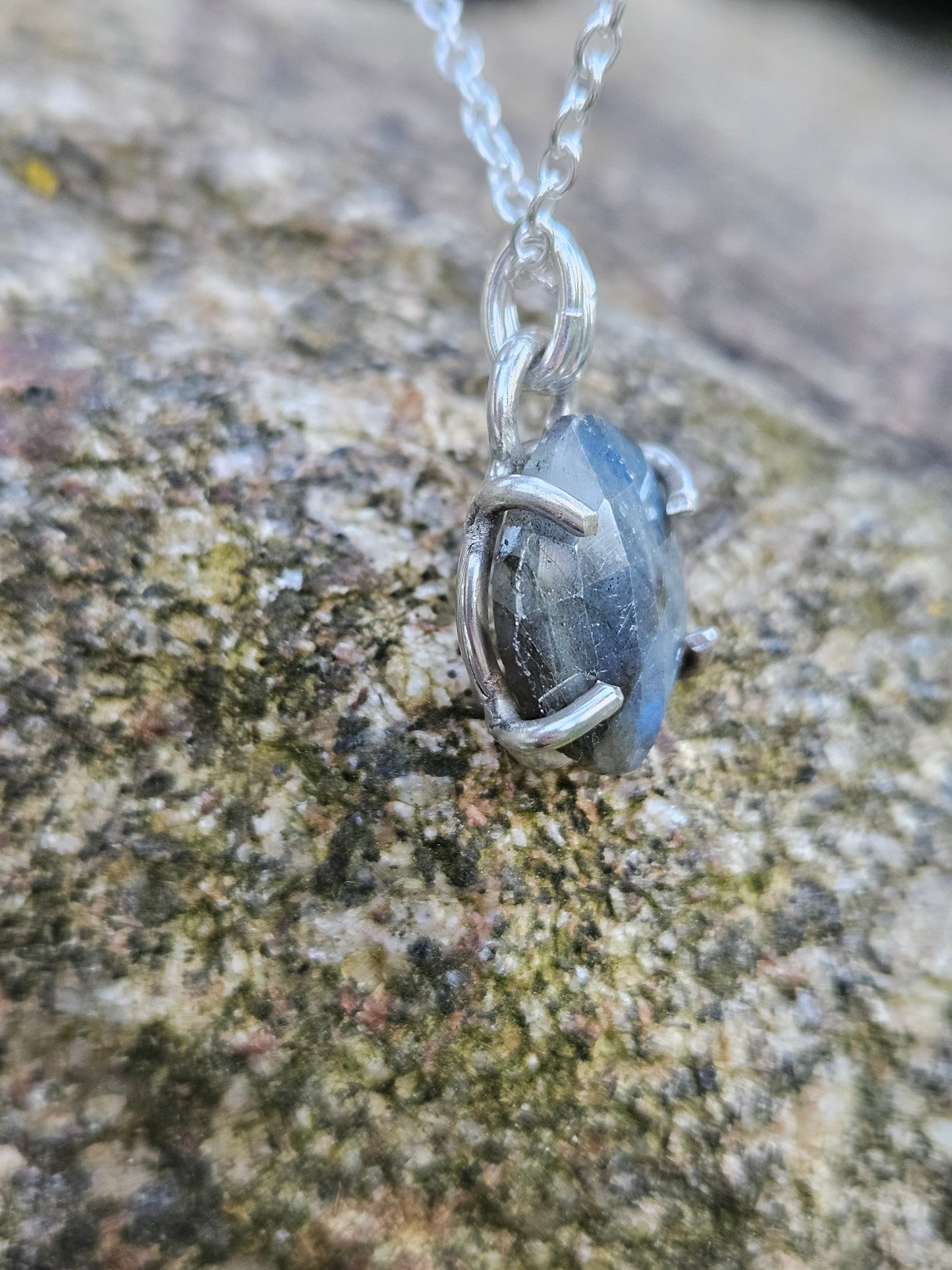 Tortue de labradorite