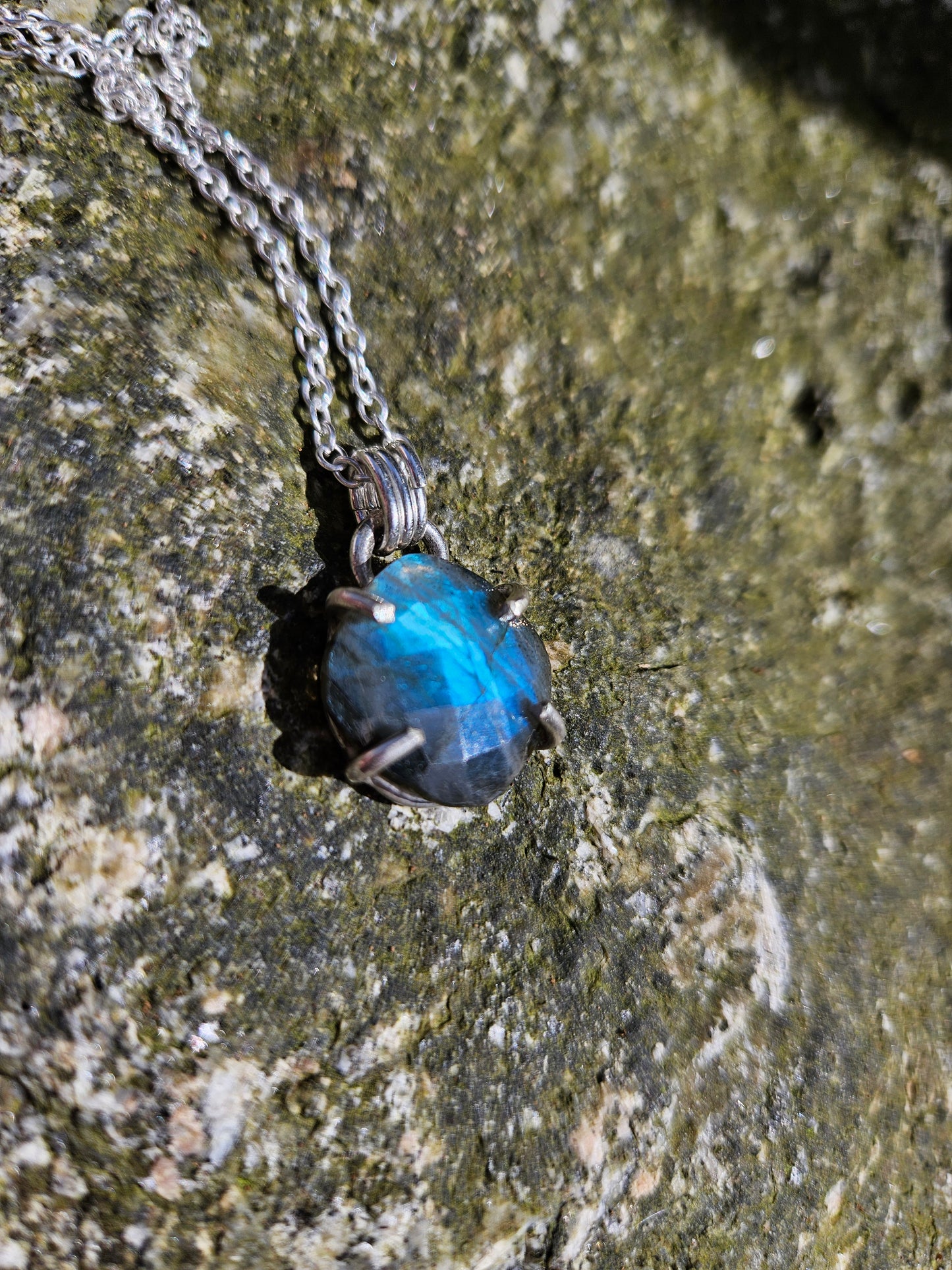 Tortue de labradorite