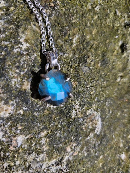 Tortue de labradorite