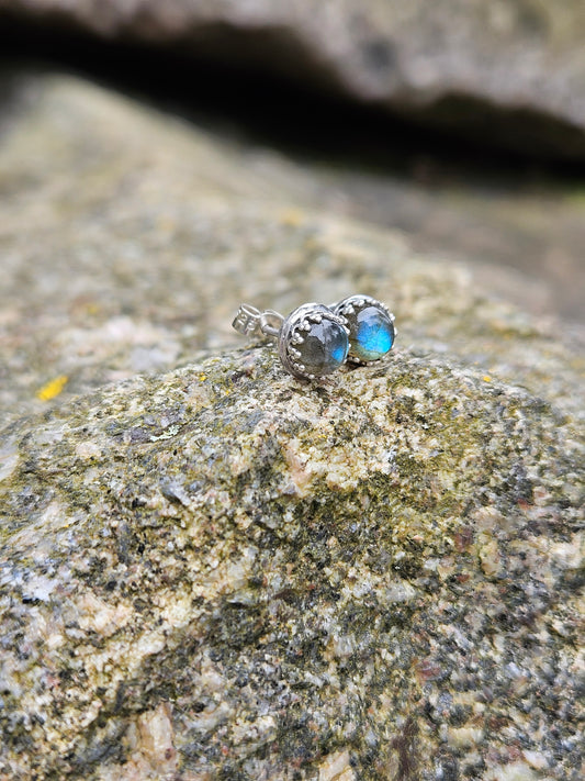 Puces d'oreilles en labradorites